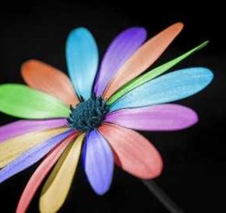 Цветик-семицветик