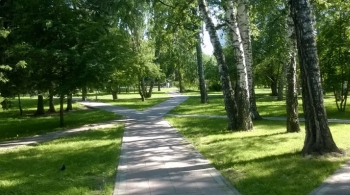 Нарымский оазис