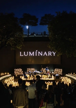 Luminary