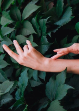 Молодость. Страсть