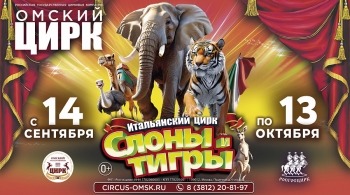 Итальянский цирк: слоны и тигры