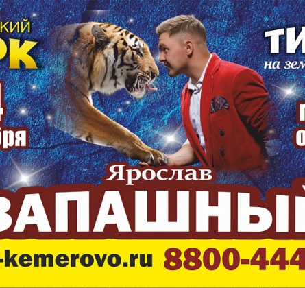 Тигры на земле и в воздухе