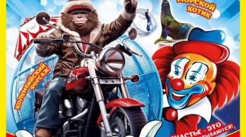 Цирк счастья