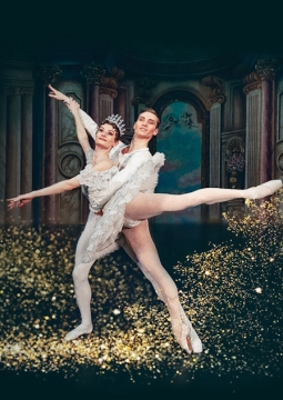 Спящая красавица