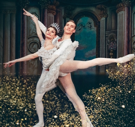 Спящая красавица