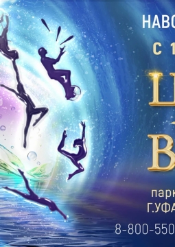 Шевченко-шоу | Цирк на воде