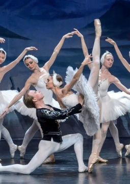 Лебединое озеро