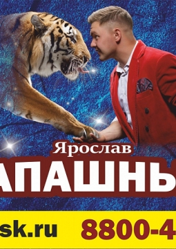 Тигры на земле и в воздухе