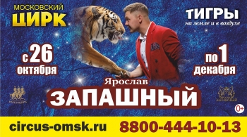 Тигры на земле и в воздухе