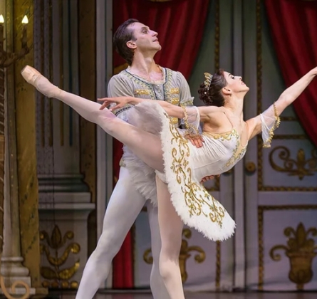 Спящая красавица