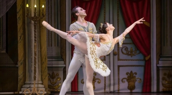 Спящая красавица