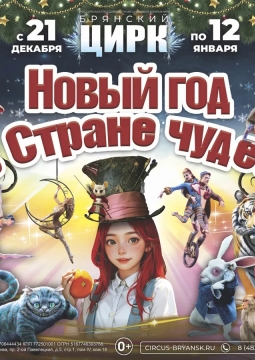 Новый год в стране чудес