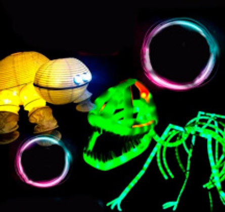 Шоу световых кукол