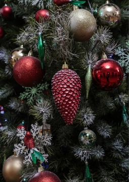 С Новым годом, Тамбов!