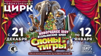 Итальянский цирк: слоны и тигры