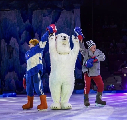 Айсберг | Цирк на льду