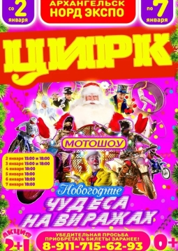 Новогодние чудеса на виражах | Цирк Мансуровых