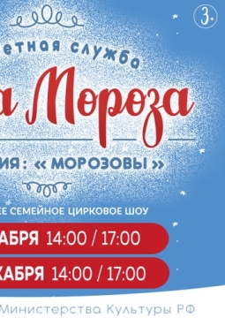 Секретная служба Деда Мороза. Операция Морозовы