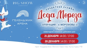 Секретная служба Деда Мороза. Операция Морозовы