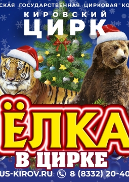 Новогодняя ёлка в цирке