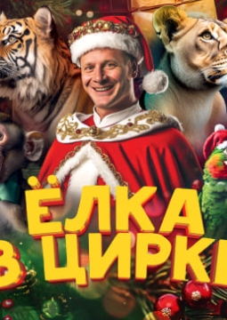Ёлка в цирке
