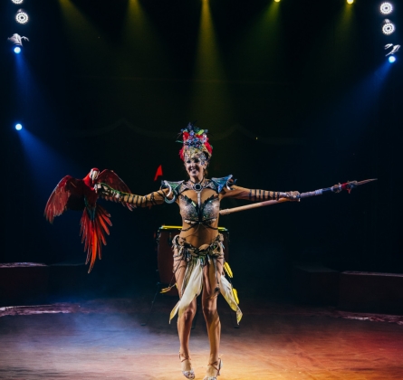 Цирк «Крокус»