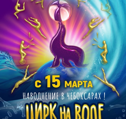 Шевченко-шоу | Цирк на воде