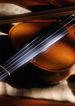 Концерт скрипичной музыки
