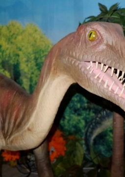 Гости из прошлого