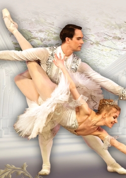 Спящая красавица