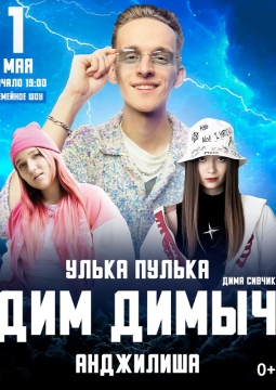 Шоу Дим Димыча