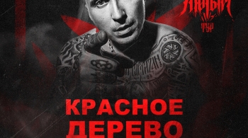 Красное дерево