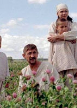 Время жатвы