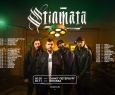 STIGMATA