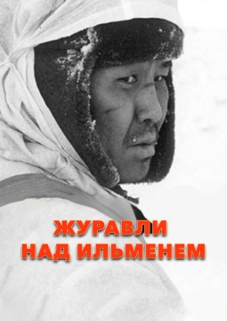 Журавли над Ильменем