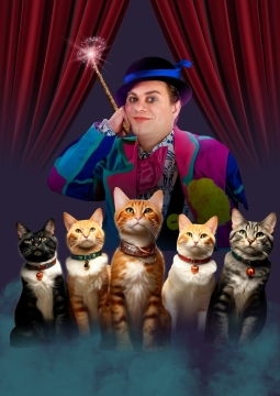 Кошки в городе | Владимир Куклачёв