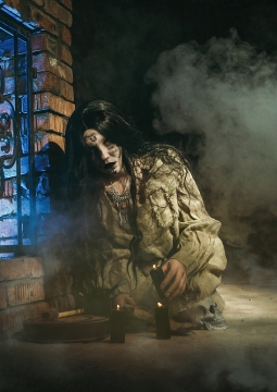 Последняя экскурсия