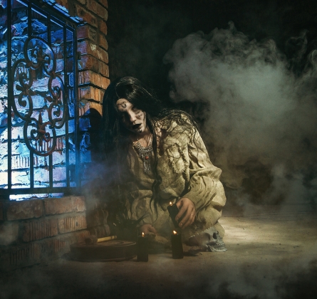 Последняя экскурсия