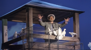 Любовь и голуби