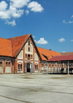 Путешествие в Средневековье