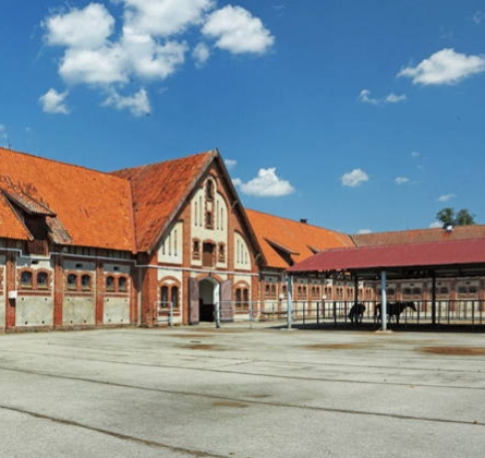 Путешествие в Средневековье