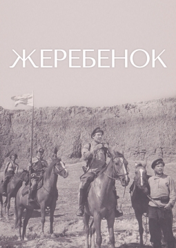 Жеребёнок