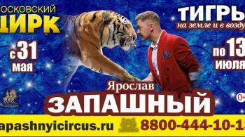 Тигры на земле и в воздухе