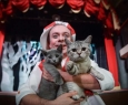 Котобум