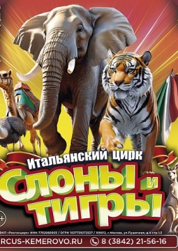 Итальянский цирк: слоны и тигры