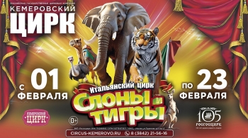 Итальянский цирк: слоны и тигры