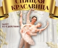 Спящая красавица