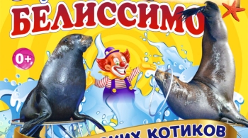 Белиссимо | Цирк