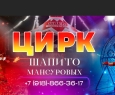 Аттракцион чудес | Цирк Мансуровых