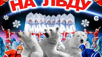 Айсберг | Цирк на льду